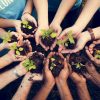 importance-of-community-service-social-2